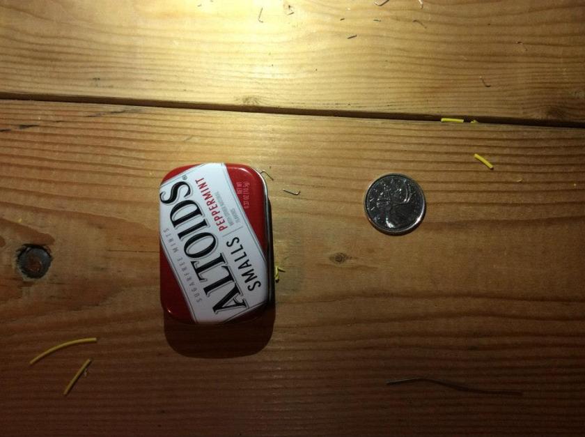 11221293_10153249074178026_3748953819625709031_n